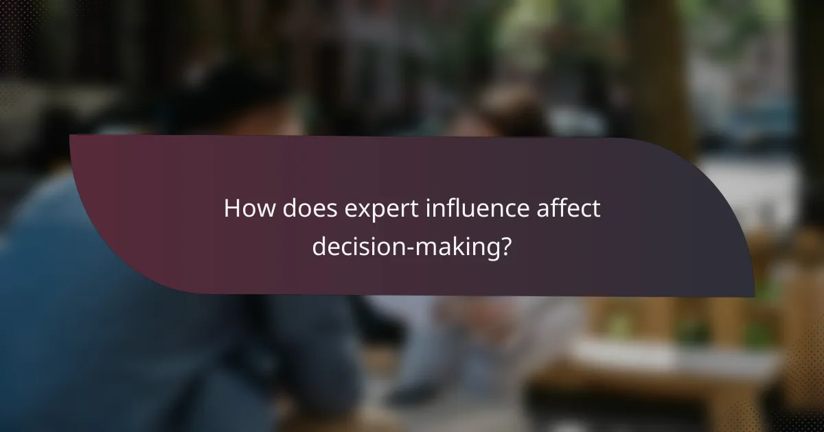 How does expert influence affect decision-making?